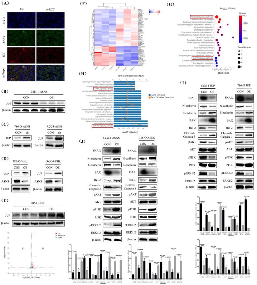 Int J Biol Sci Image