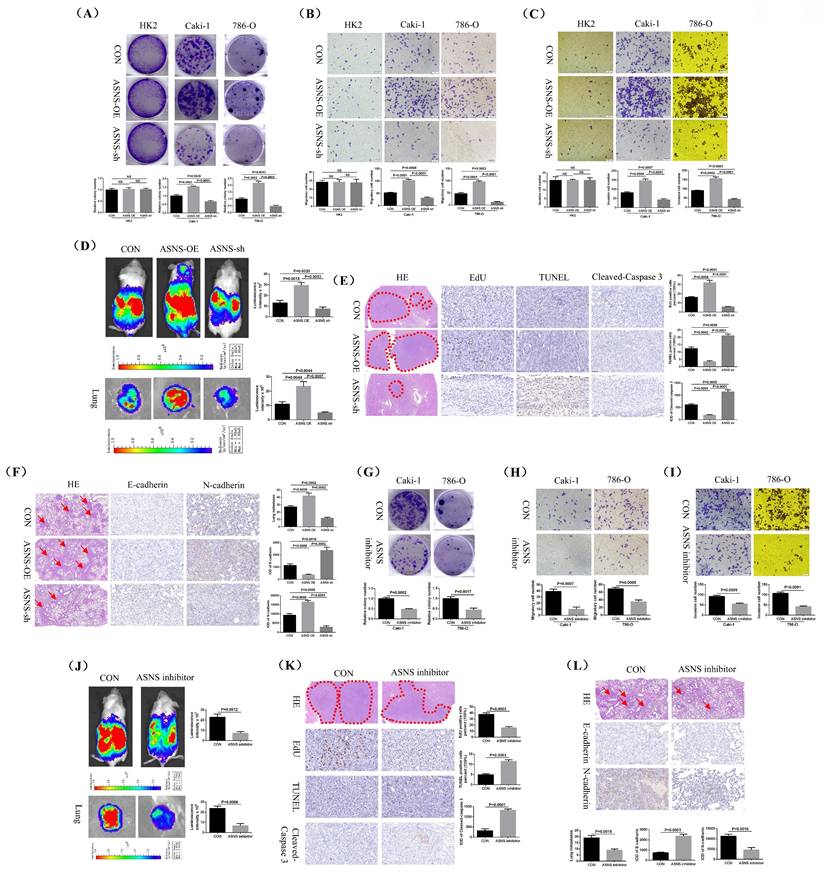 Int J Biol Sci Image