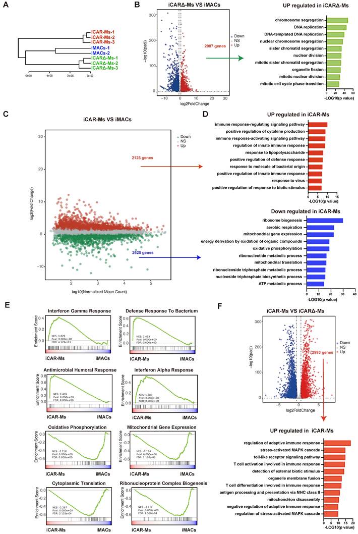 Int J Biol Sci Image