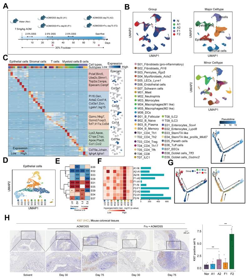 Int J Biol Sci Image