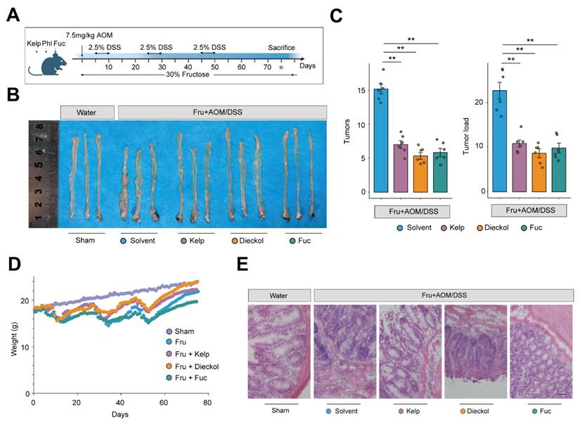 Int J Biol Sci Image