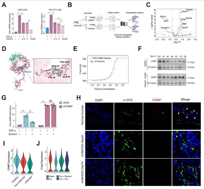 Int J Biol Sci Image