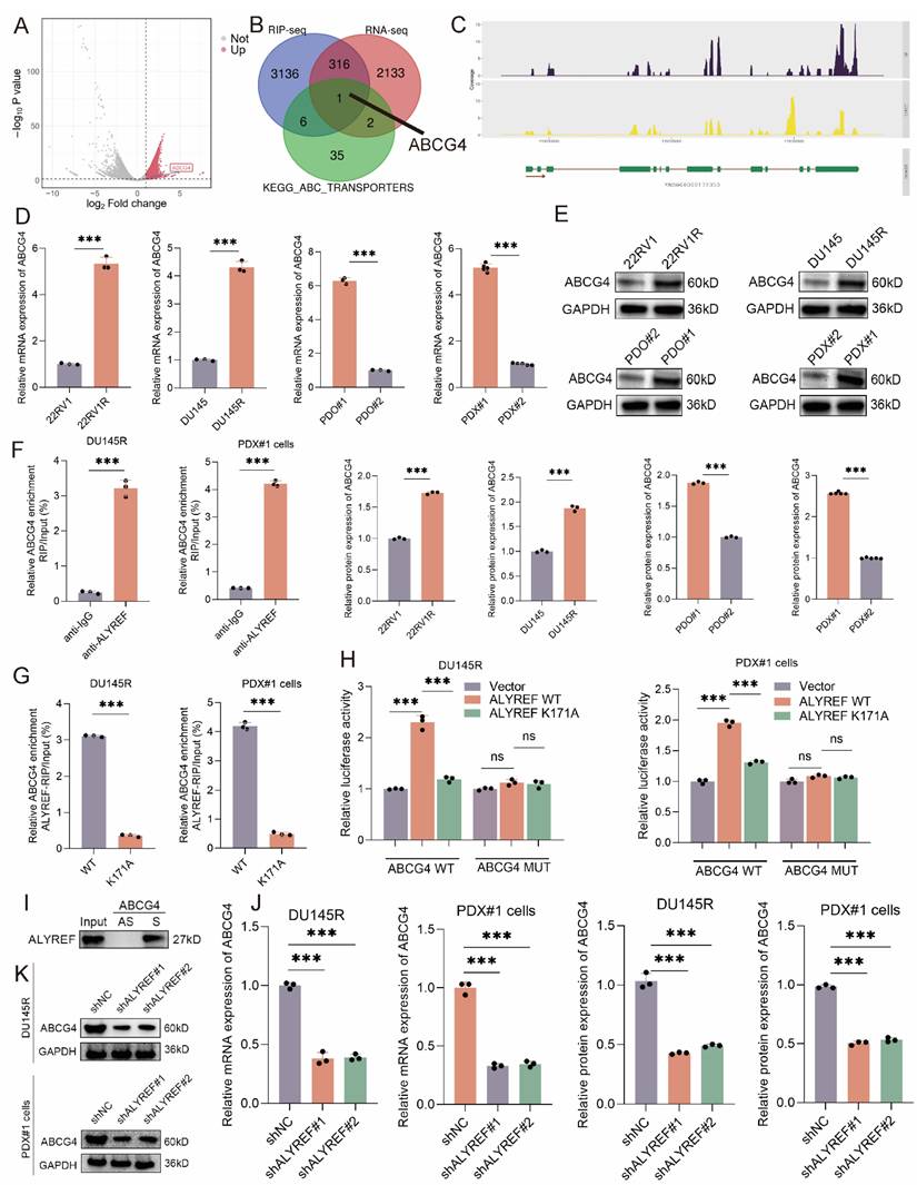 Int J Biol Sci Image