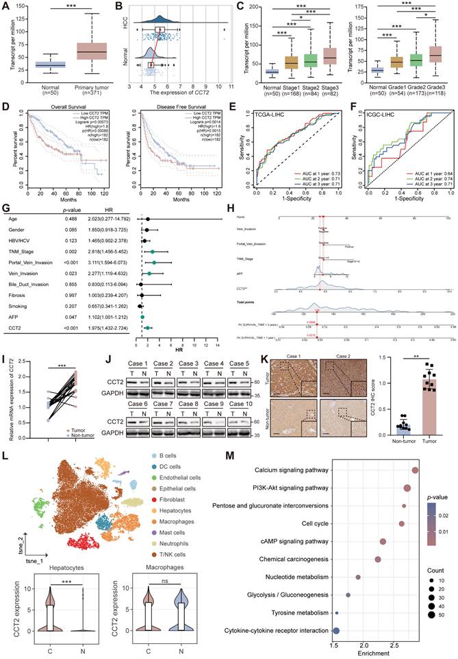 Int J Biol Sci Image
