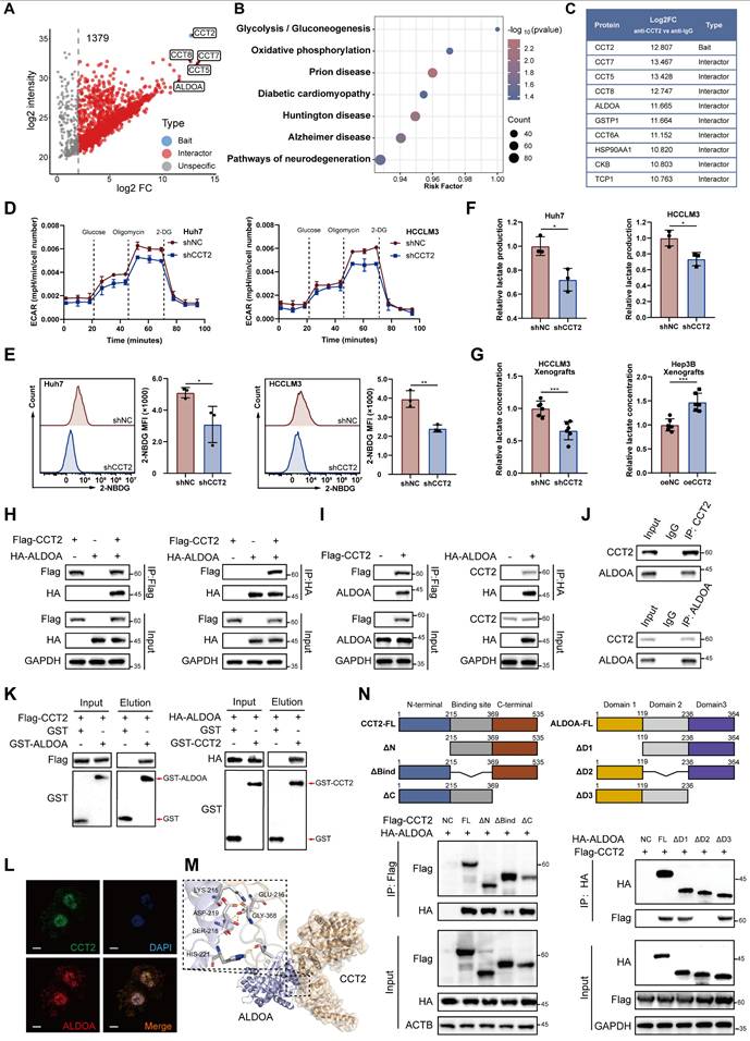 Int J Biol Sci Image