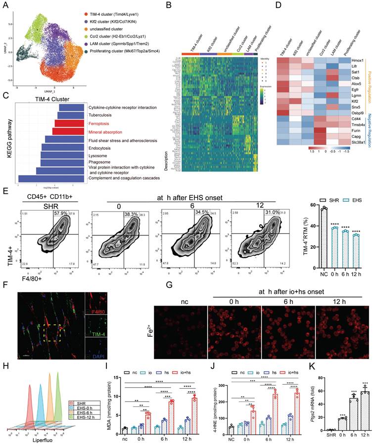 Int J Biol Sci Image