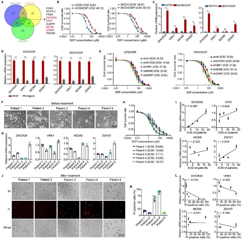 Int J Biol Sci Image