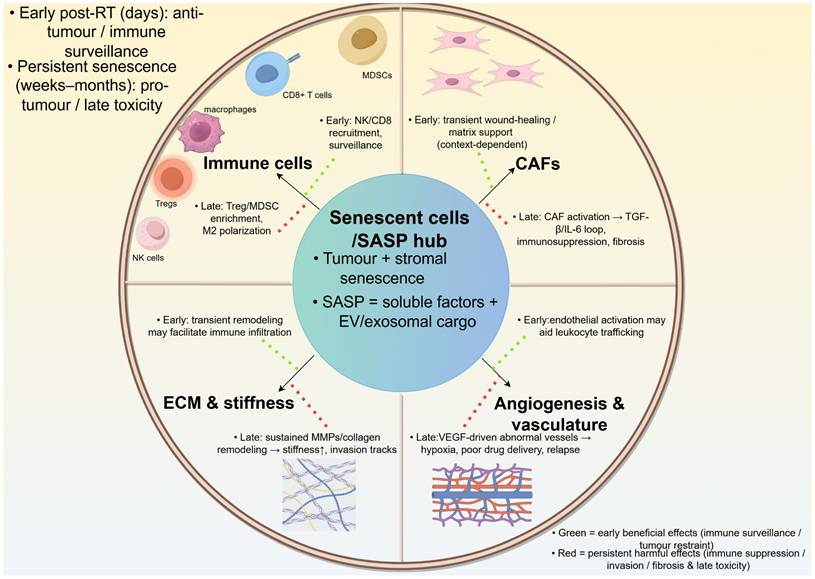 Int J Biol Sci Image