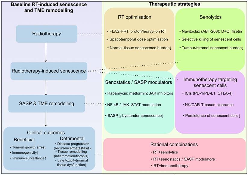 Int J Biol Sci Image