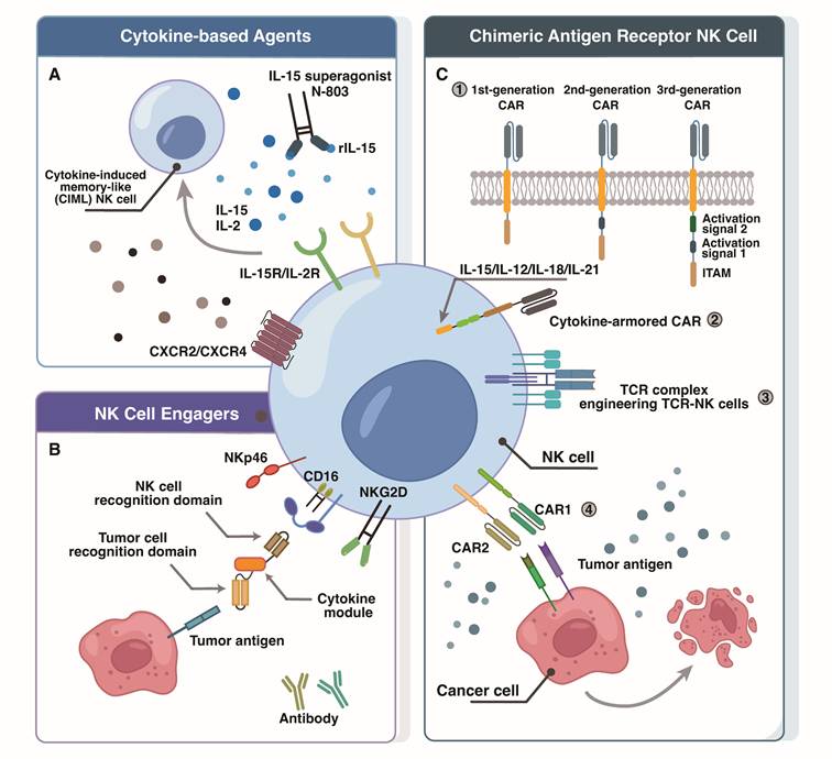 Int J Biol Sci Image