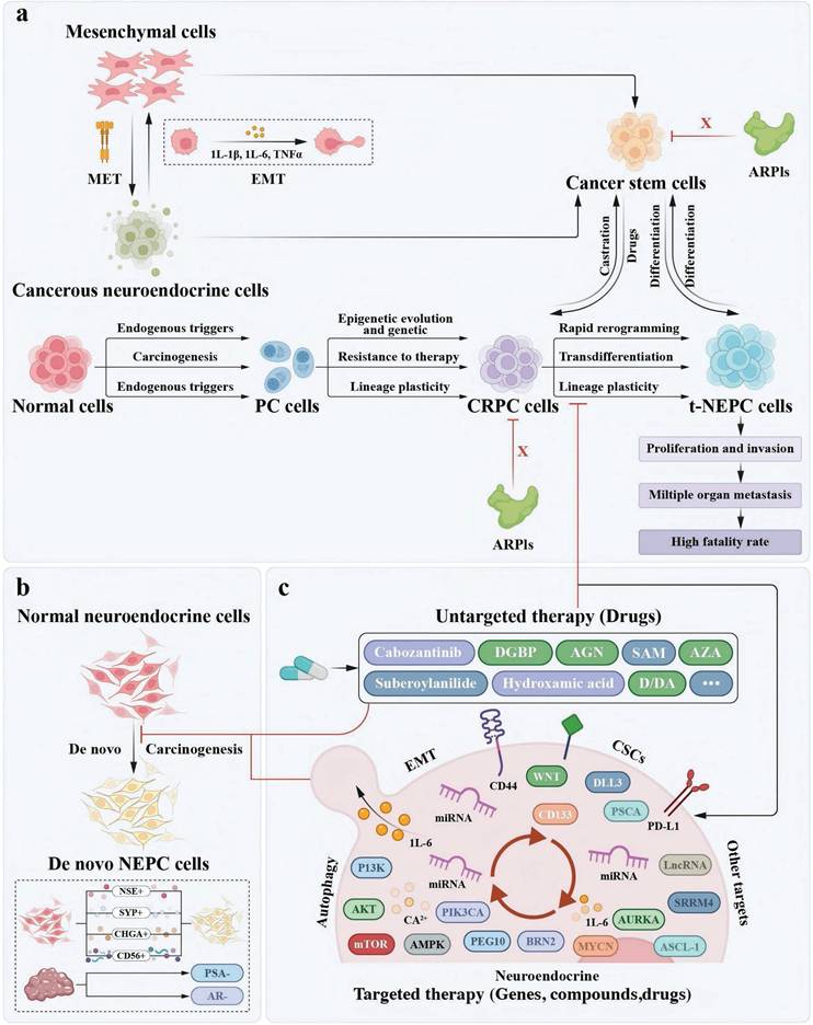 Int J Biol Sci Image