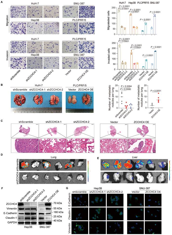 Int J Biol Sci Image