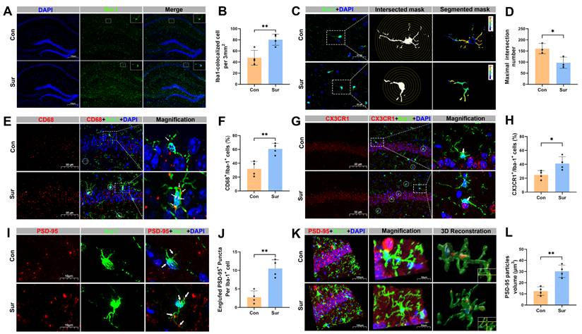 Int J Biol Sci Image