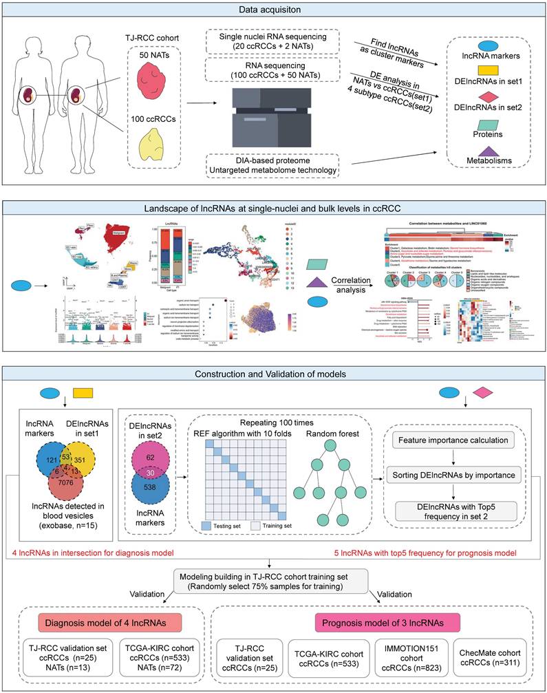 Int J Biol Sci Image