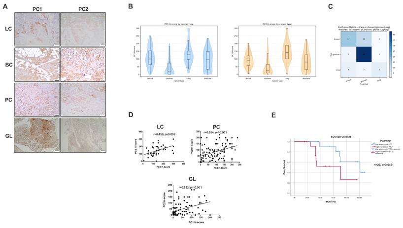 Int J Biol Sci Image