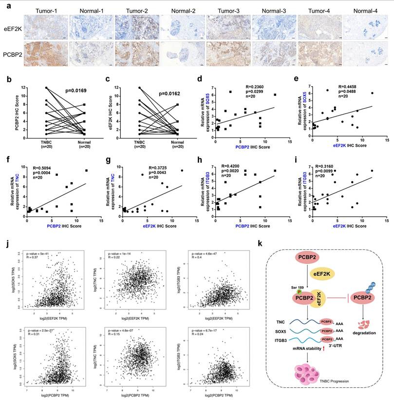 Int J Biol Sci Image