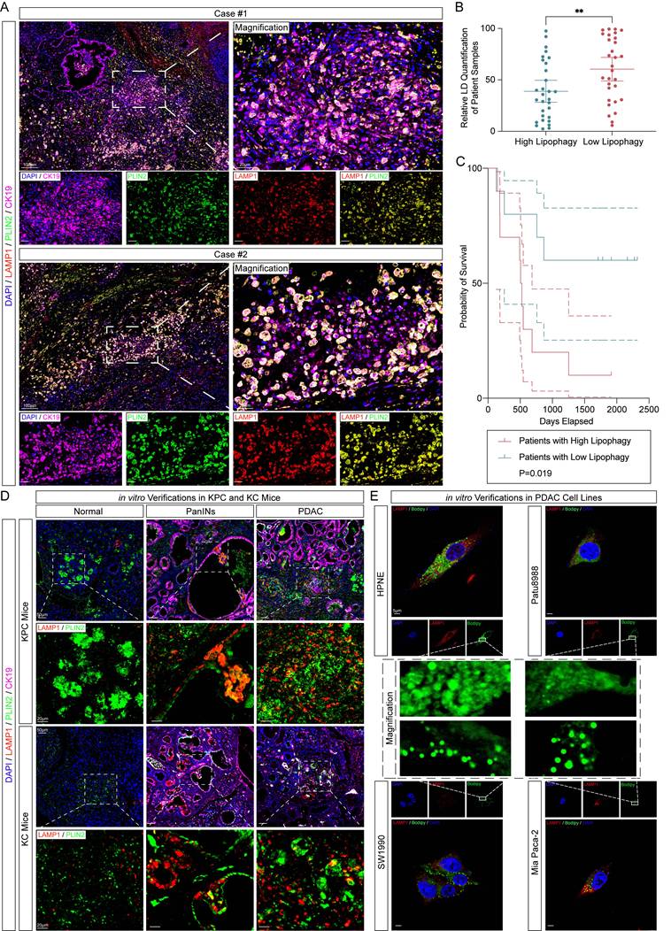 Int J Biol Sci Image