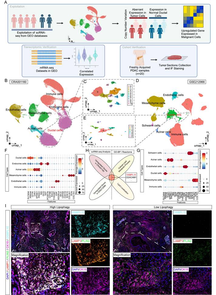 Int J Biol Sci Image