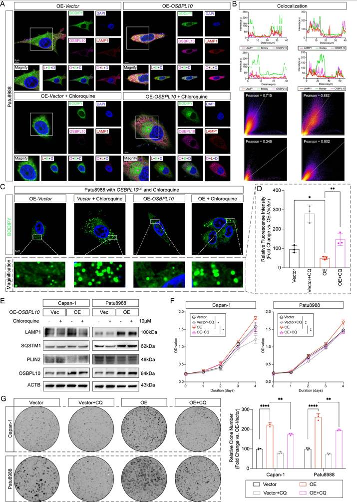 Int J Biol Sci Image