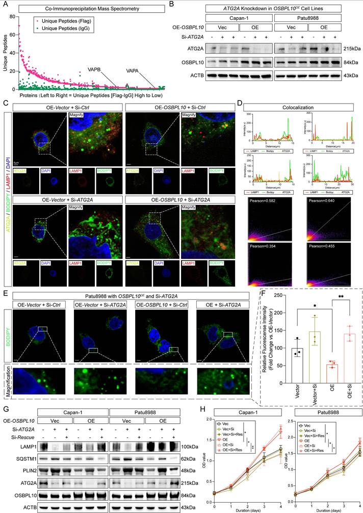 Int J Biol Sci Image