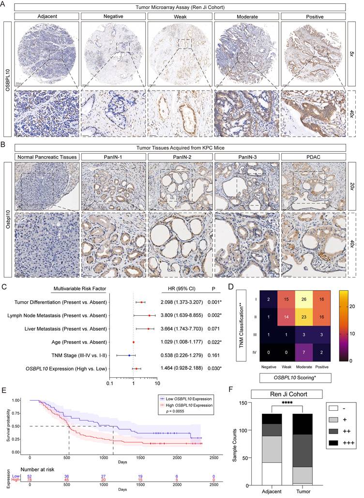 Int J Biol Sci Image