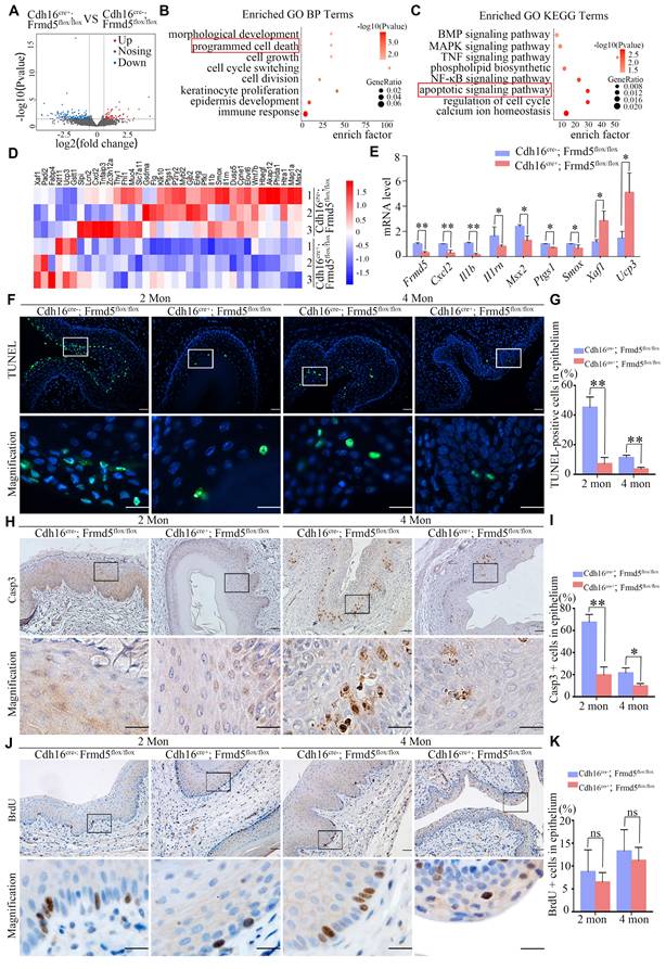 Int J Biol Sci Image