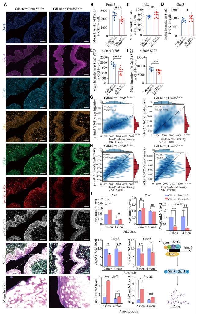 Int J Biol Sci Image
