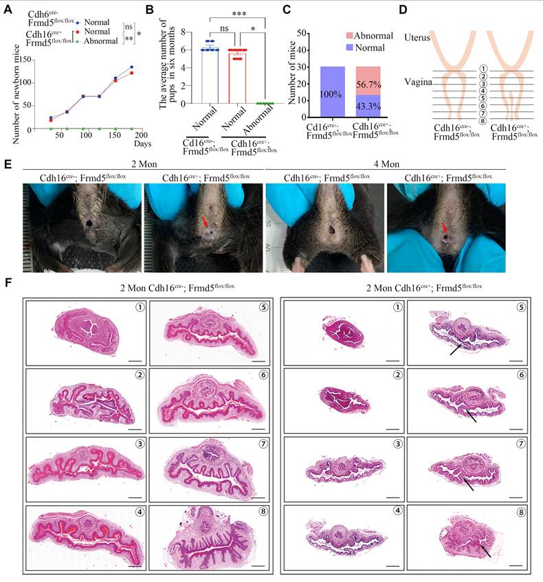 Int J Biol Sci Image