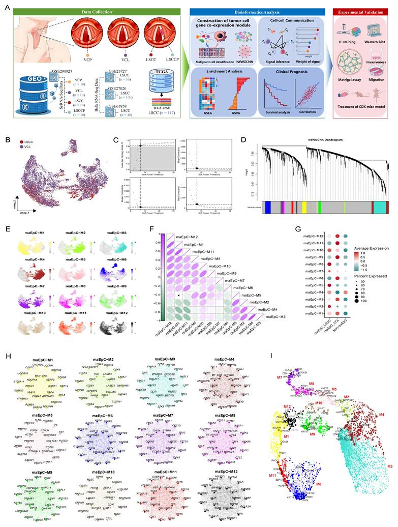 Int J Biol Sci Image