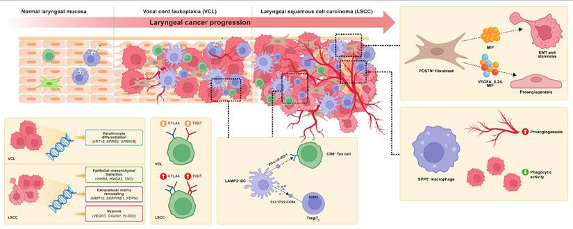 Int J Biol Sci Image