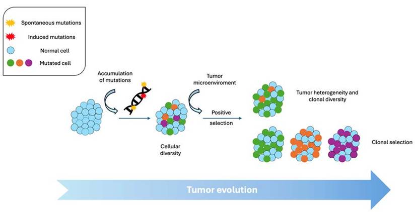 Int J Biol Sci Image