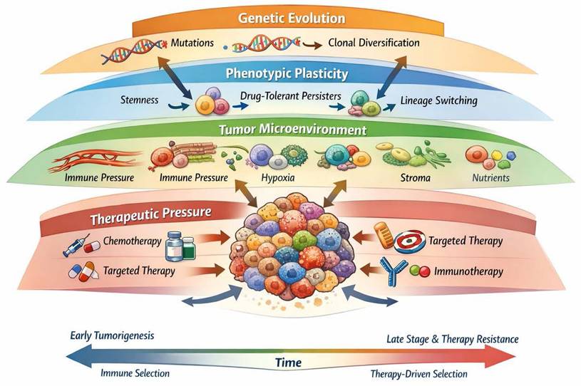 Int J Biol Sci Image
