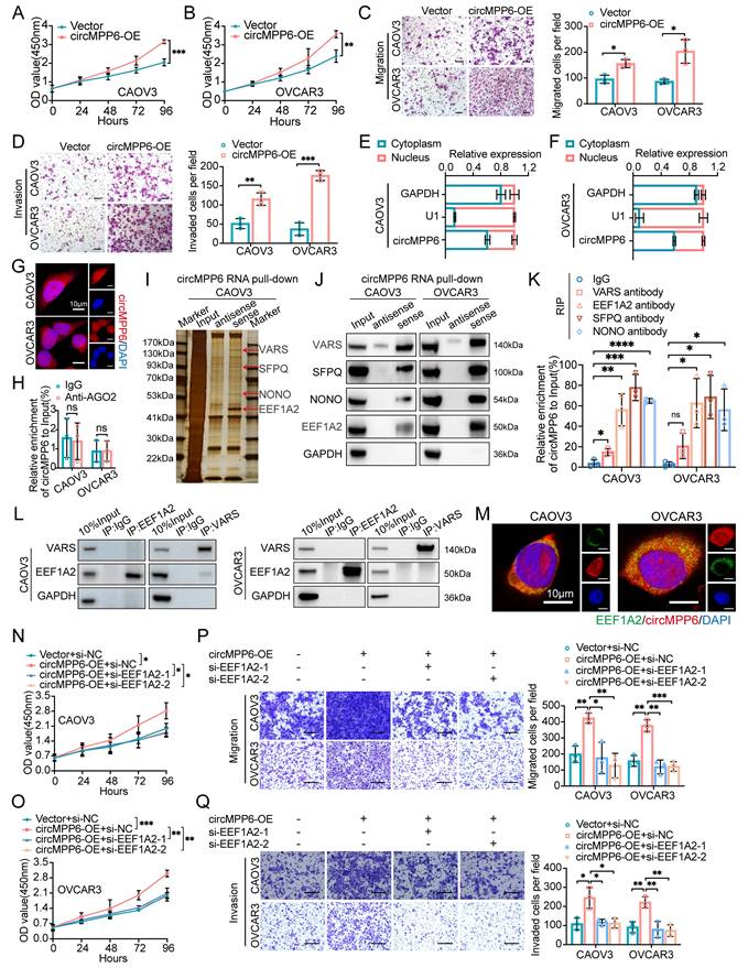 Int J Biol Sci Image