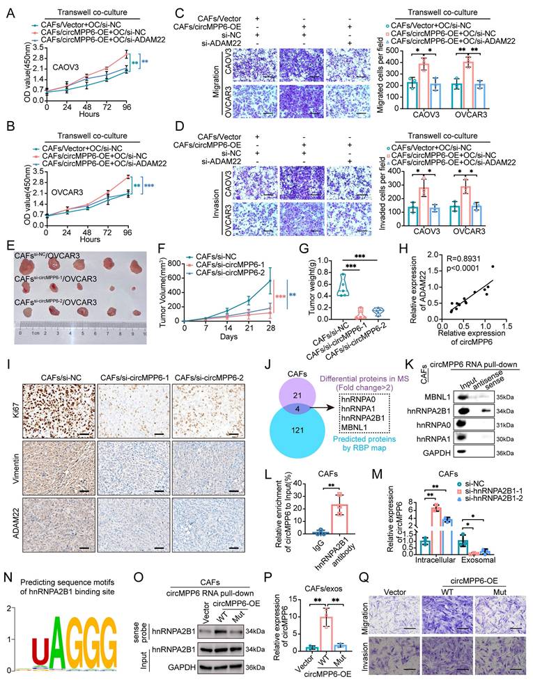 Int J Biol Sci Image