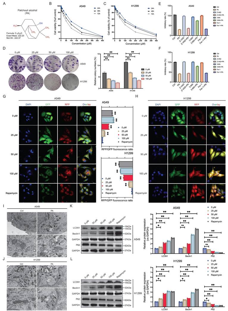 Int J Biol Sci Image