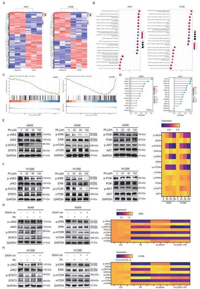 Int J Biol Sci Image