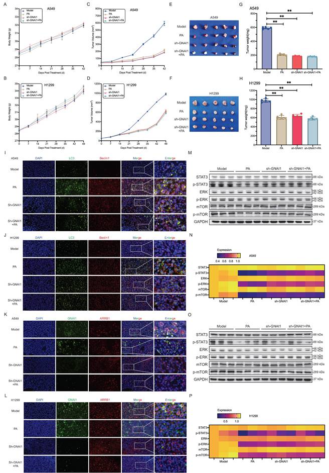 Int J Biol Sci Image