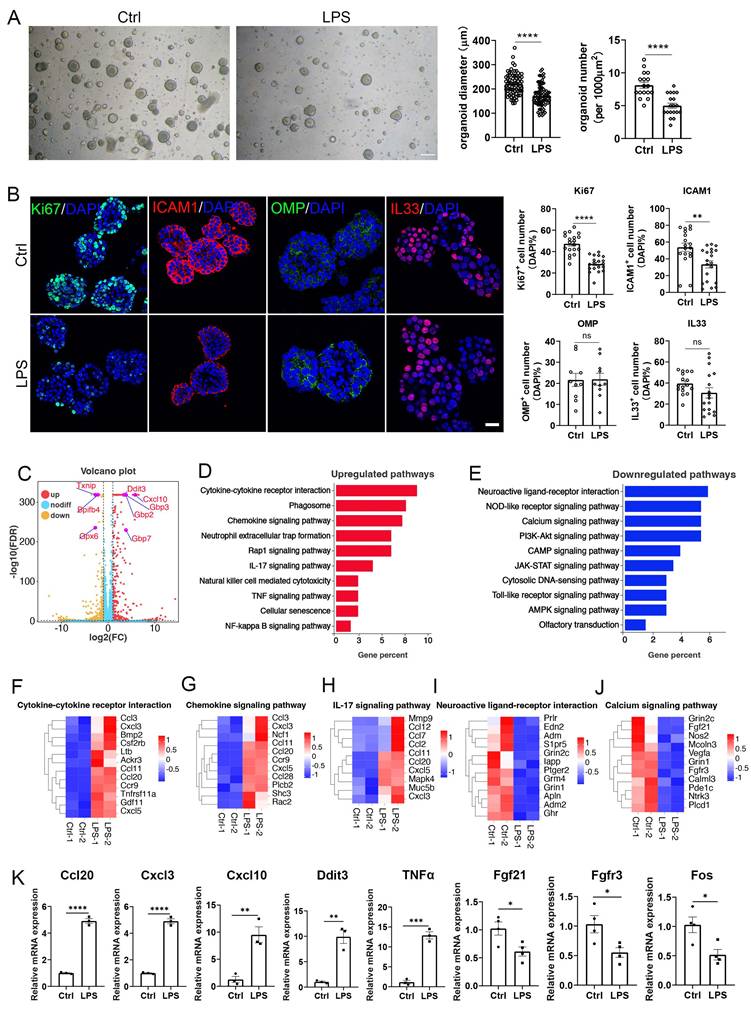 Int J Biol Sci Image