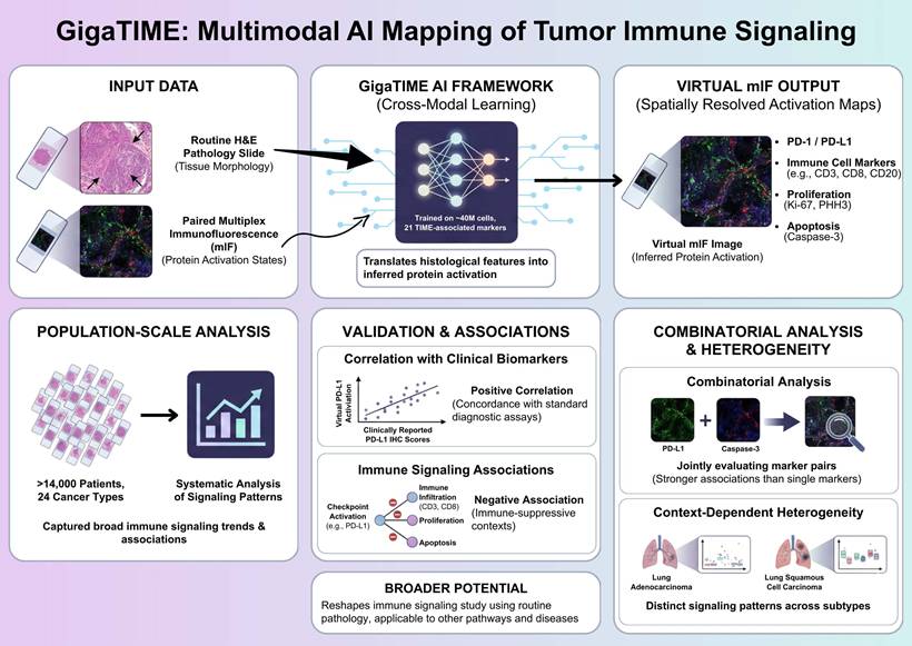 Int J Biol Sci Image