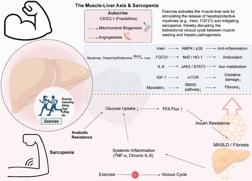 Int J Biol Sci Image