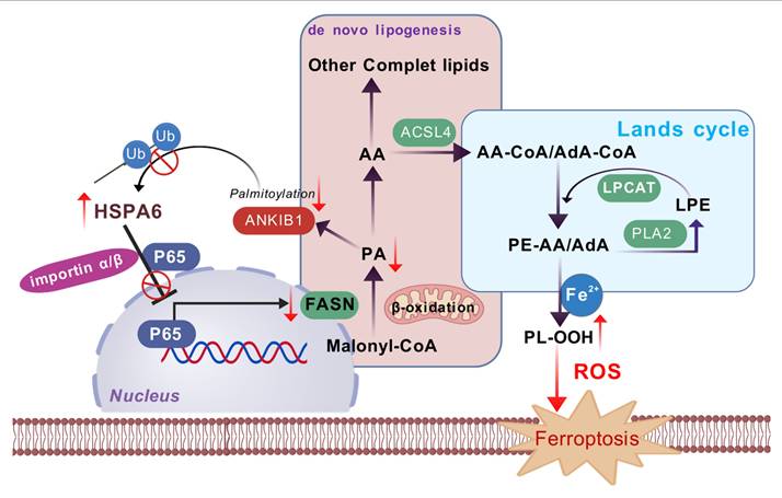 Int J Biol Sci Image