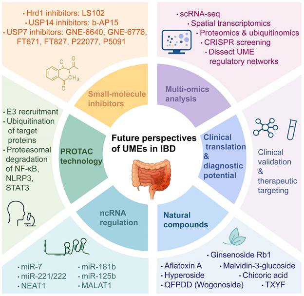 Int J Biol Sci Image