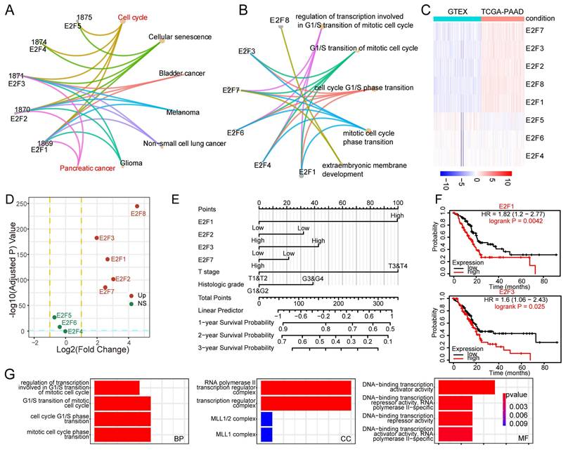 Int J Biol Sci Image