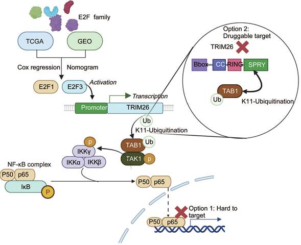 Int J Biol Sci Image