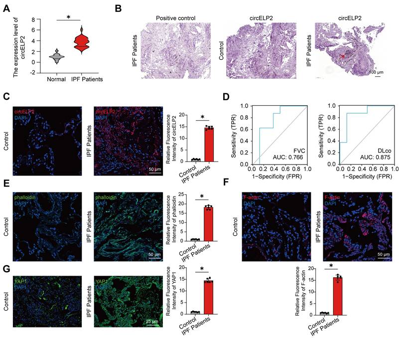 Int J Biol Sci Image