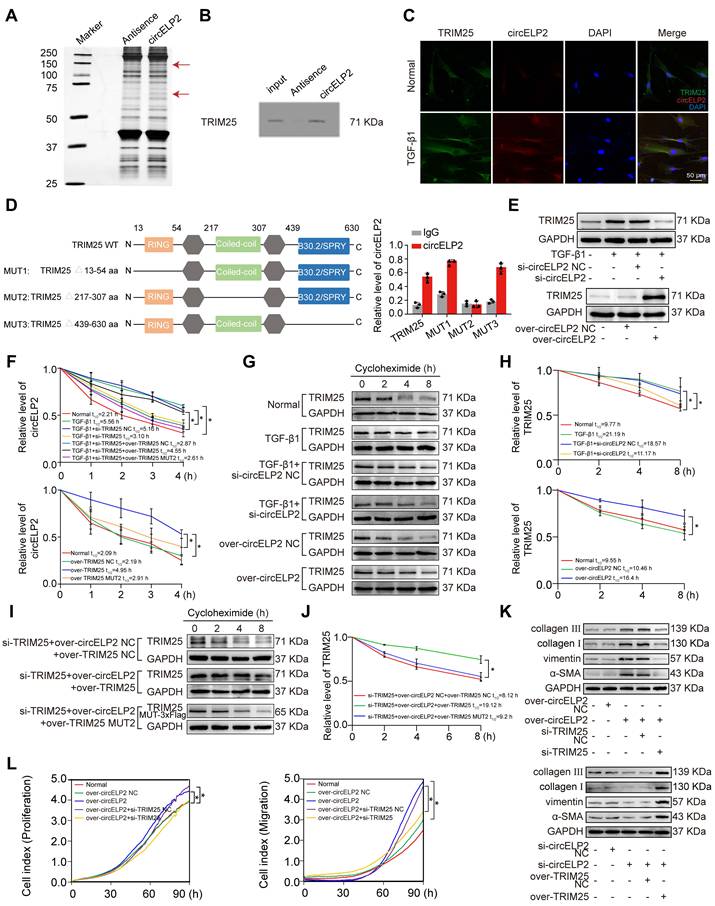 Int J Biol Sci Image