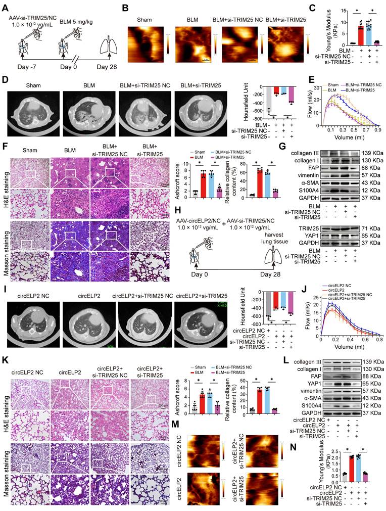 Int J Biol Sci Image