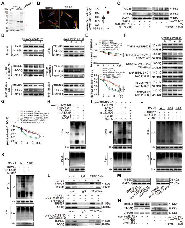 Int J Biol Sci Image