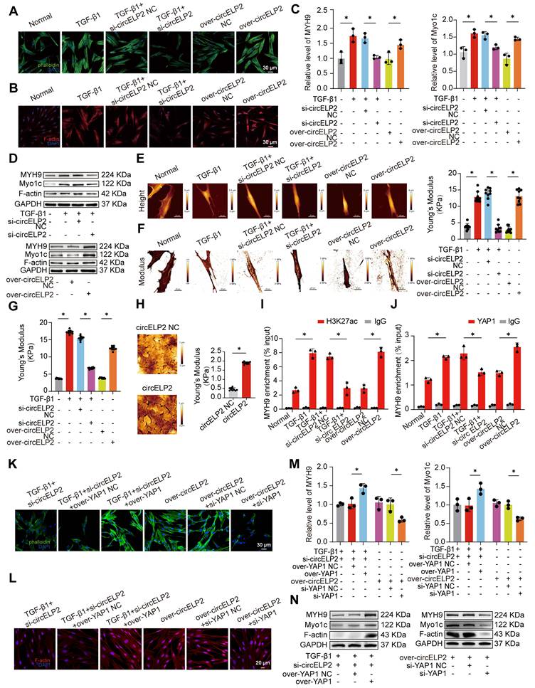 Int J Biol Sci Image