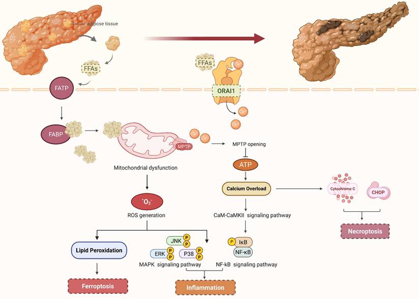 Int J Biol Sci Image